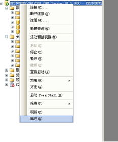 在線網(wǎng)校v5教程 程序數(shù)據(jù)庫(kù)安裝說明 手工還原數(shù)據(jù)庫(kù)圖文說明 安裝方法2