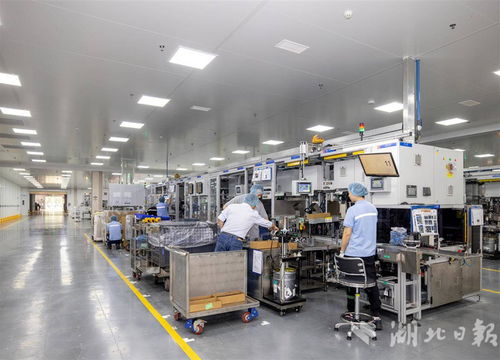 世界500強采埃孚五年三度追投，武漢成其軟件戰(zhàn)略布局核心